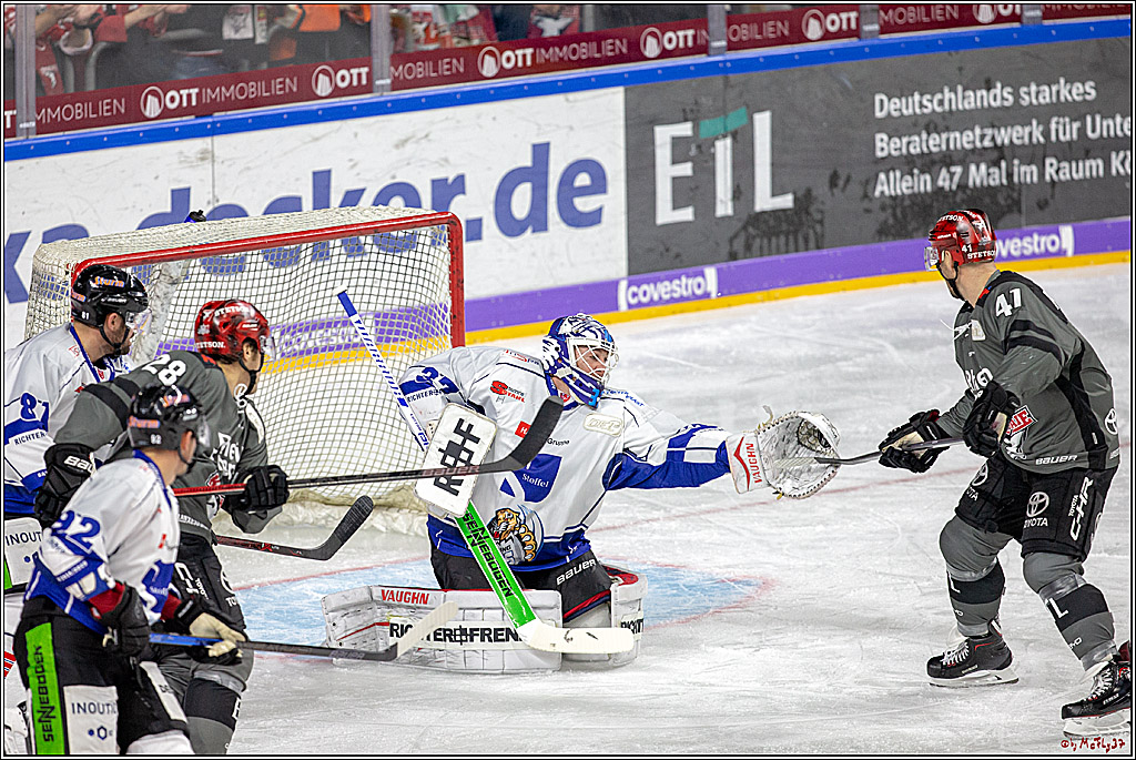 DEL; Koelner Haie - Straubing Tigers, 28.09.2018
